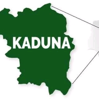 KADUNA: Five of the kidnapped students of Federal College of Forestry Mechanization regained freedom, Undergoing thorough medical check-up at a military facility