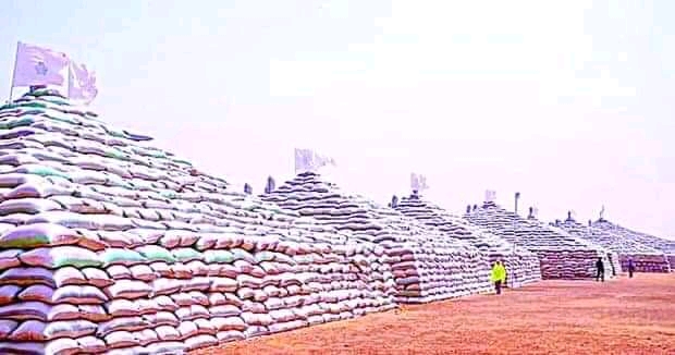 Rice Pyramid and the cynicism mischief makers