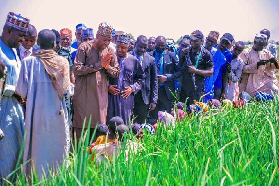 Damasak: Bagudu, Zulum tour Borno’s 3,000-hectare rice farm, Kebbi Governor explains visit, Says Buhari is happy 